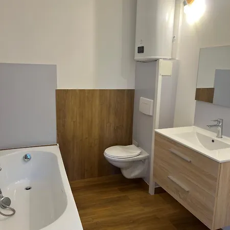 4 Climatise Apartmán Brezins